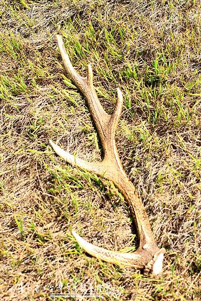 176398554_10159424744554452_6676726222835936149_n.jpg 176398554_10159424744554452_6676726222835936149_n.jpg