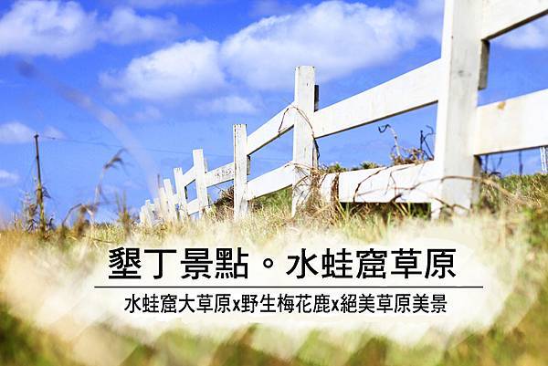 水蛙窟大草原,梅花鹿,大尖山,紐西蘭牧場,龍磐公園,部落社區,生態旅遊,屏東,墾丁,秘境,牧場,偽出