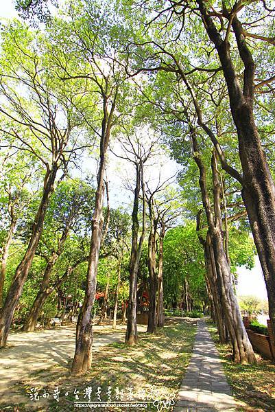 _MG_2862.JPG _MG_2862.JPG