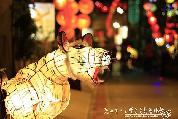 _MG_6117.JPG _MG_6117.JPG