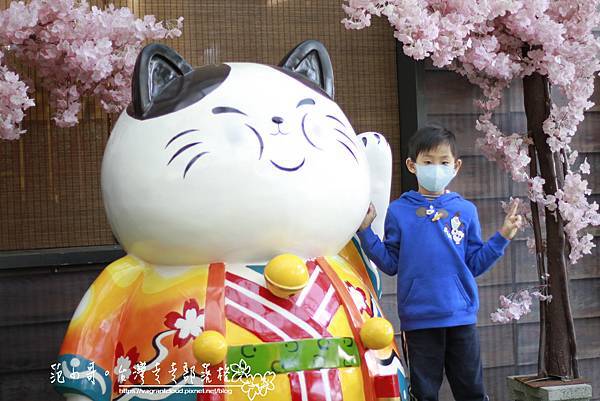 _MG_4914.JPG _MG_4914.JPG