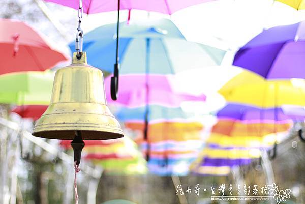 _MG_4954.JPG _MG_4954.JPG