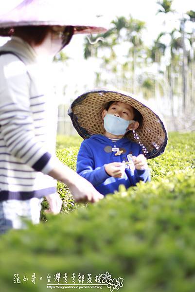 _MG_4960.JPG _MG_4960.JPG