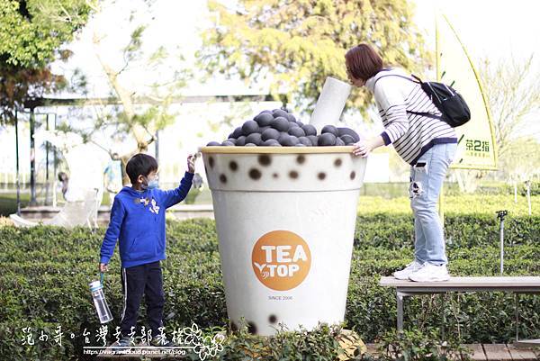 _MG_5006.JPG _MG_5006.JPG