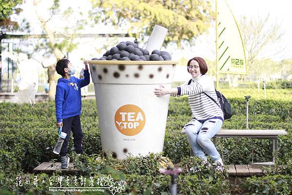 _MG_5004.JPG _MG_5004.JPG