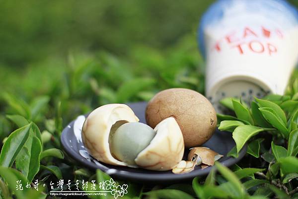 _MG_5035.JPG _MG_5035.JPG