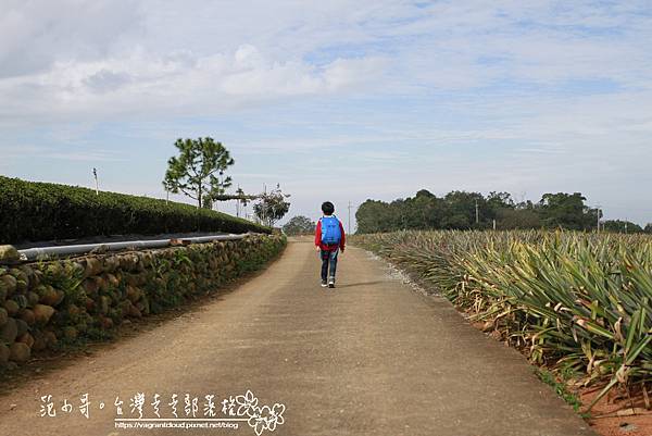 _MG_5169.JPG _MG_5169.JPG