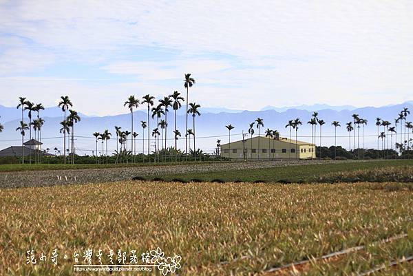 _MG_5177.JPG _MG_5177.JPG