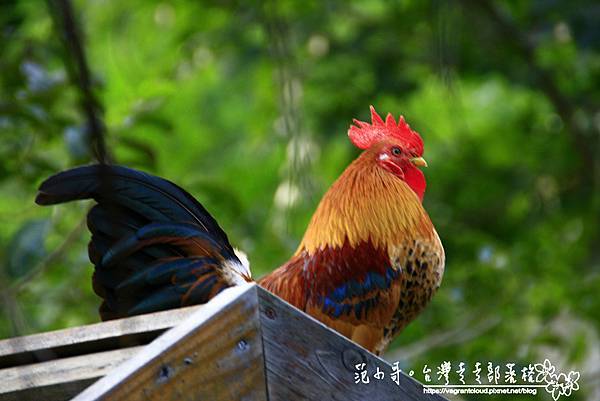 5卓也小屋-10.JPG 5卓也小屋-10.JPG