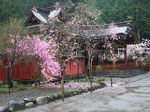 花枝亂顫