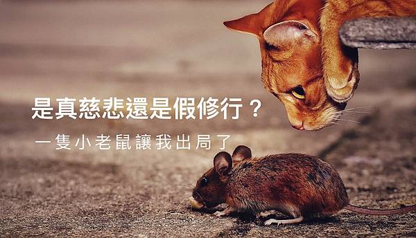 是真慈悲還是假修行?一隻小老鼠讓我出局了.jpeg 是真慈悲還是假修行?一隻小老鼠讓我出局了.jpeg
