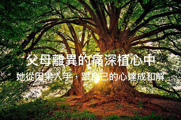 父母離異的痛深植心中，她從因果入手，跟自己的心達成和解4.jpg