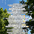 IMG_3057.PNG