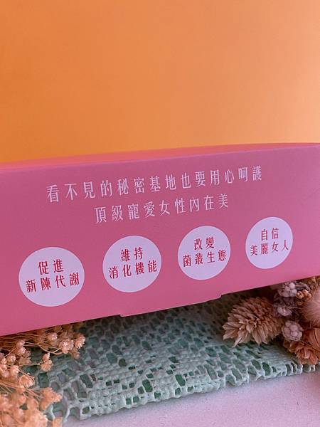 IMG_1011.JPG 試用