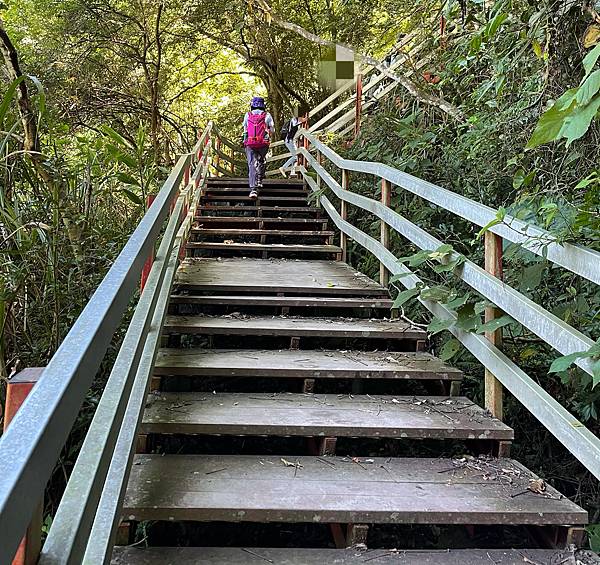 苗栗水雲三星老大「虎山」，肉腳挑戰「中級山裡的大霸尖山」