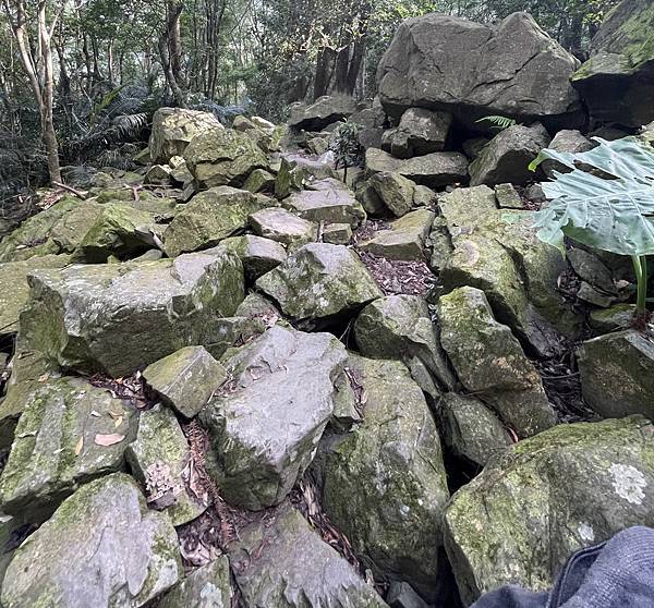 苗栗水雲三星老大「虎山」，肉腳挑戰「中級山裡的大霸尖山」