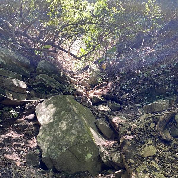 苗栗水雲三星老大「虎山」，肉腳挑戰「中級山裡的大霸尖山」