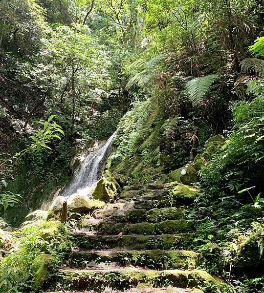 陽明山 I 炎夏輕輕鬆鬆在陽明山的一日避暑吃喝玩樂趣