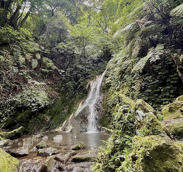 陽明山 I 炎夏輕輕鬆鬆在陽明山的一日避暑吃喝玩樂趣