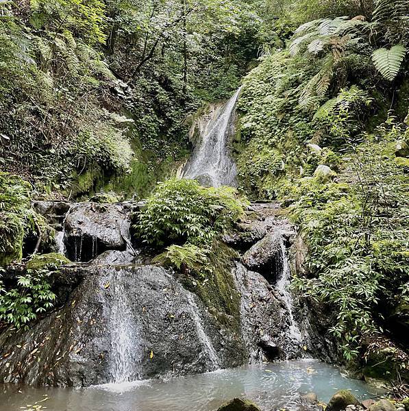 陽明山 I 炎夏輕輕鬆鬆在陽明山的一日避暑吃喝玩樂趣