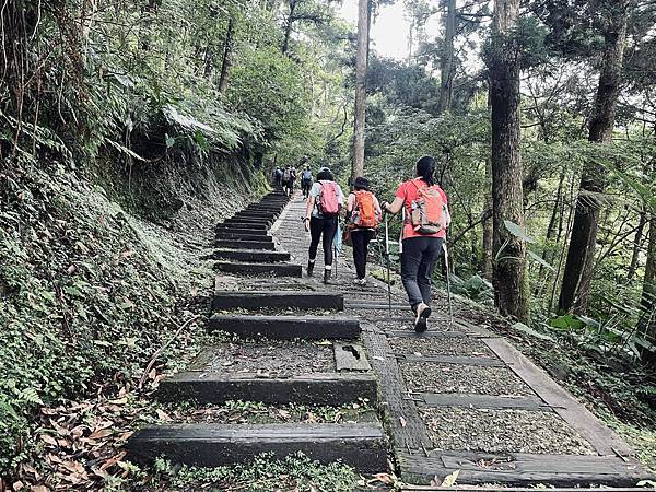 桃園東眼山森林遊樂區「東眼山自導式步道」、「森林知性步道」和