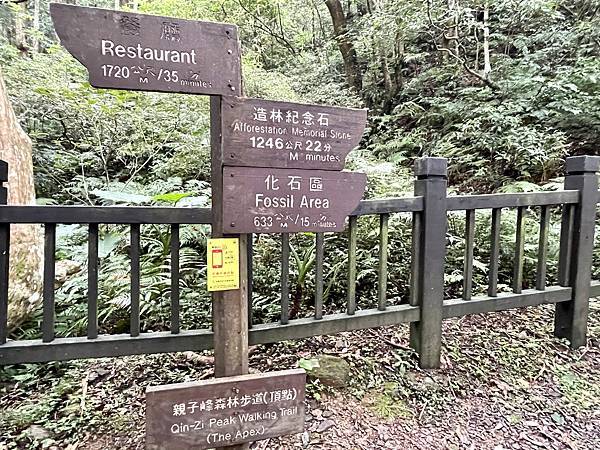 桃園東眼山森林遊樂區「東眼山自導式步道」、「森林知性步道」和
