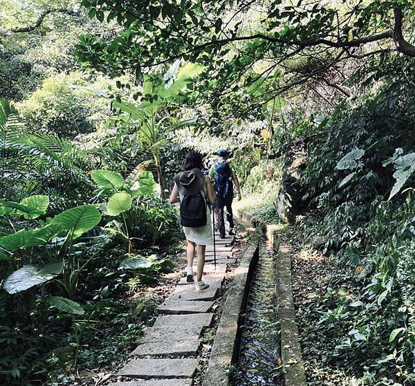 「新北石門」人氣尖山湖步道、青山瀑布步道、老梅冷泉秘境，給你