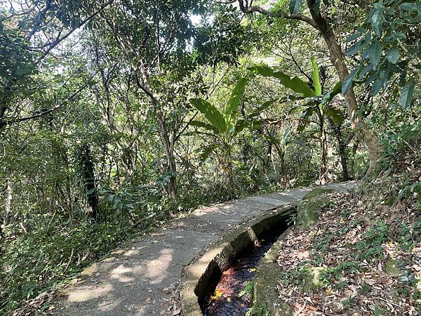 「新北石門」人氣尖山湖步道、青山瀑布步道、老梅冷泉秘境，給你