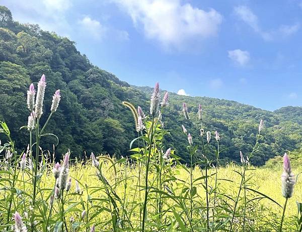 秘境野炊、溪邊抓蝦、海邊玩水、山上泡茶瘋露營看見台灣之美