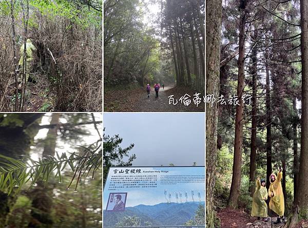 【苗栗榛山步道】觀霧山莊大鹿林道西線｜大雨滂沱登榛山、望聖稜