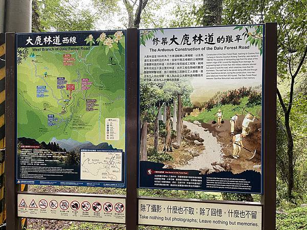 【苗栗榛山步道】觀霧山莊大鹿林道西線｜大雨滂沱登榛山、望聖稜