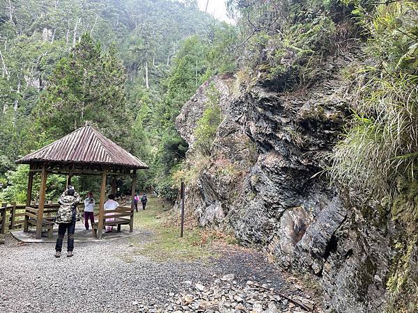 【苗栗榛山步道】觀霧山莊大鹿林道西線｜大雨滂沱登榛山、望聖稜