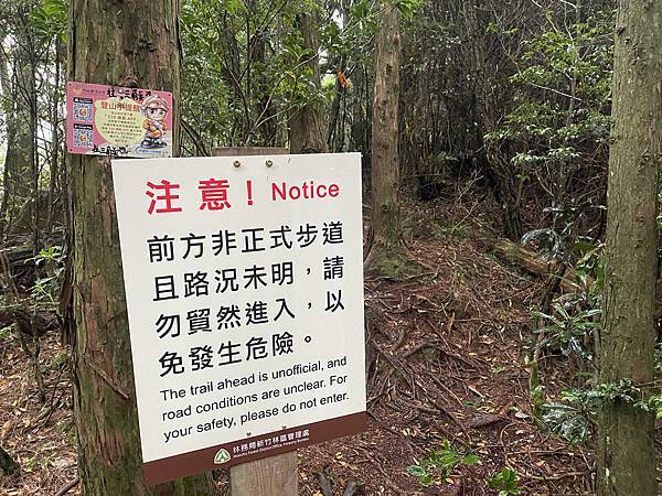 【苗栗榛山步道】觀霧山莊大鹿林道西線｜大雨滂沱登榛山、望聖稜