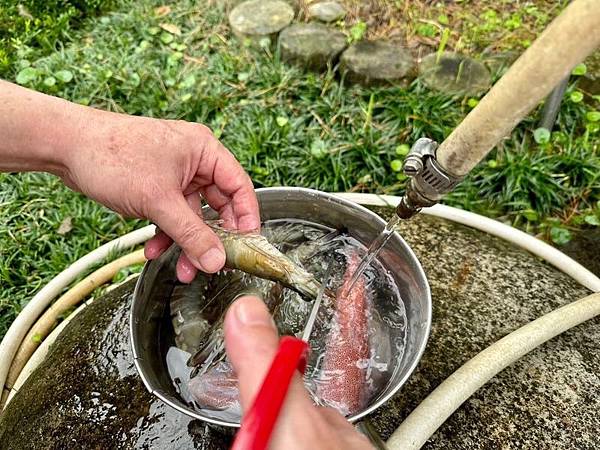 【烤肉饗宴】「有魚生鮮」推薦露營烤肉組 祕密花園中享受陽光煦