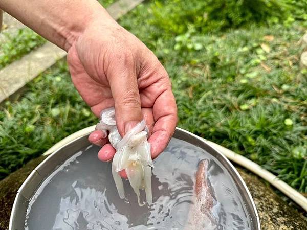 【烤肉饗宴】「有魚生鮮」推薦露營烤肉組 祕密花園中享受陽光煦