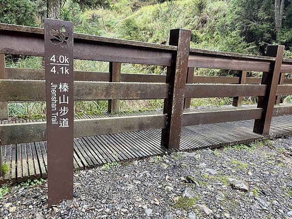 【苗栗榛山步道】觀霧山莊大鹿林道西線｜大雨滂沱登榛山、望聖稜