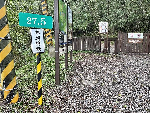 【苗栗榛山步道】觀霧山莊大鹿林道西線｜大雨滂沱登榛山、望聖稜