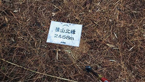 【苗栗榛山步道】觀霧山莊大鹿林道西線｜大雨滂沱登榛山、望聖稜