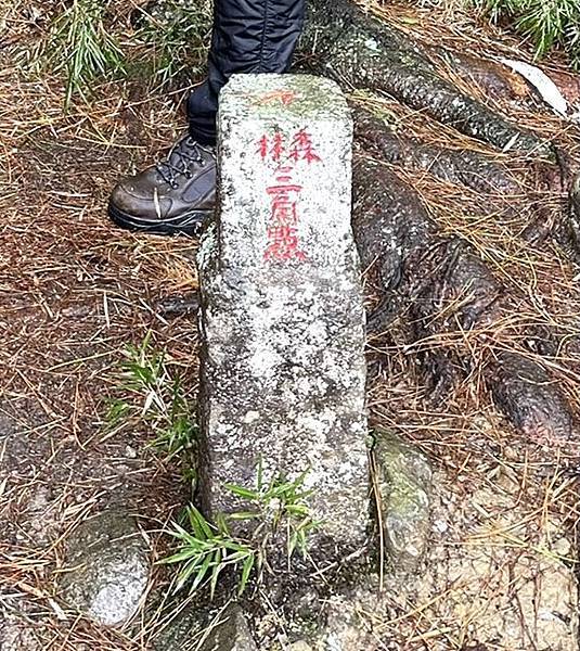 【苗栗榛山步道】觀霧山莊大鹿林道西線｜大雨滂沱登榛山、望聖稜