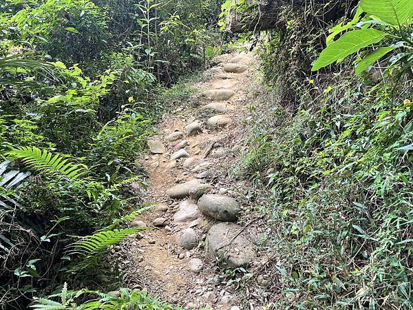 【新竹新埔】秋天來去新竹新埔一日遊｜上山健走、客家小吃、柿子