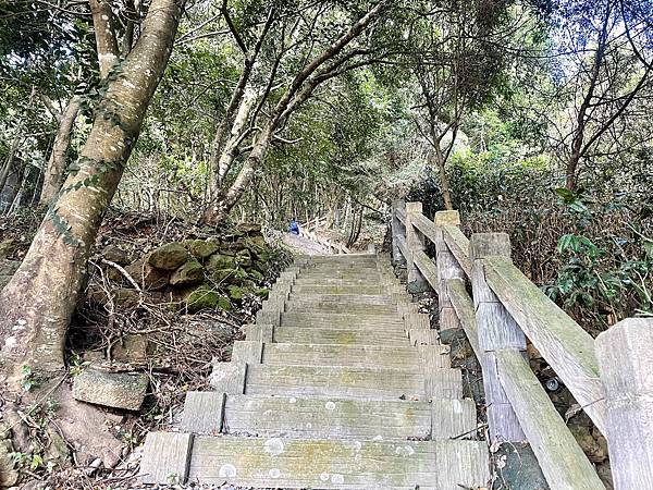 「雲嘉五連峰」輕鬆的健行路線｜所屬山系阿里山山脈｜漫步幽靜竹