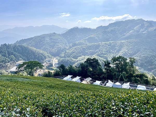 「雲嘉五連峰」輕鬆的健行路線｜所屬山系阿里山山脈｜漫步幽靜竹