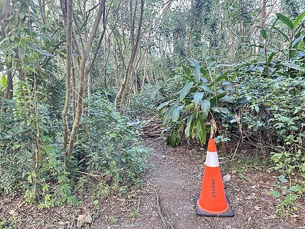 秘境分享｜花蓮秘境景點 四八高地夢幻月牙灣 海岸攻略