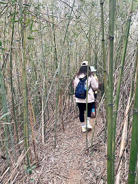 【新竹】寶山水庫湖畔群山圍繞,湖光山色一覽無遺，親民的健行步