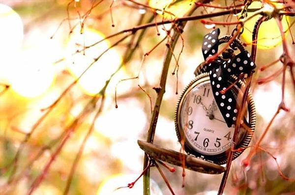 11796349_1612563675684698_6400036173864602672_n