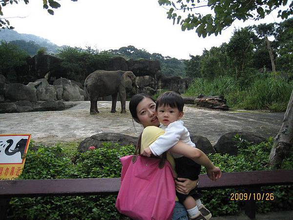 跟媽媽還有大象一起照相
