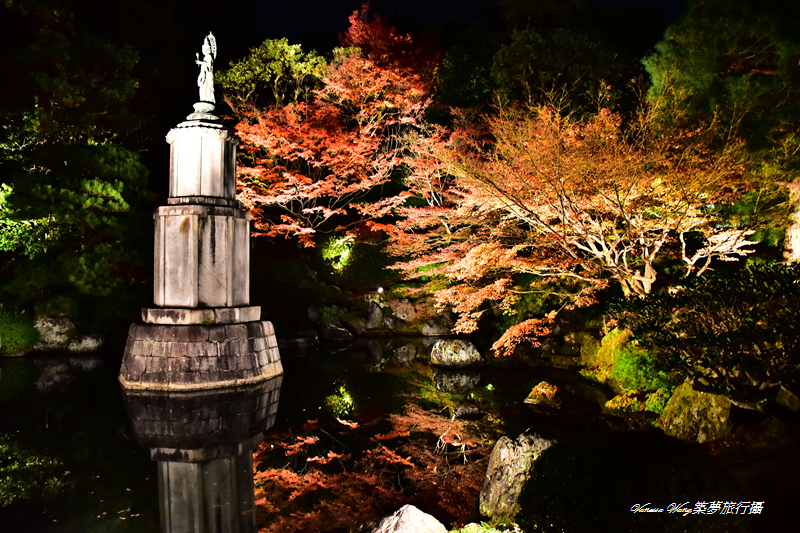 DSC_1748.jpg DSC_1748.jpg