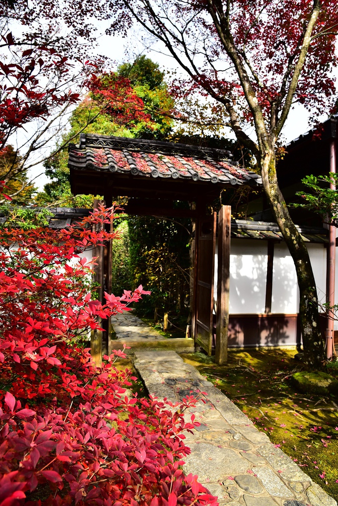 DSC_1052_副本 DSC_1052_副本