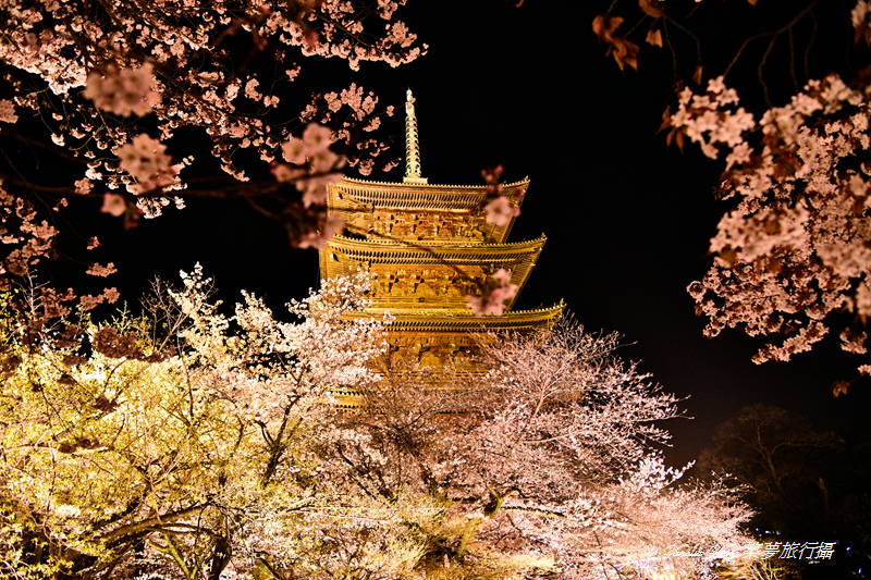 _DSC5757.jpg _DSC5757.jpg