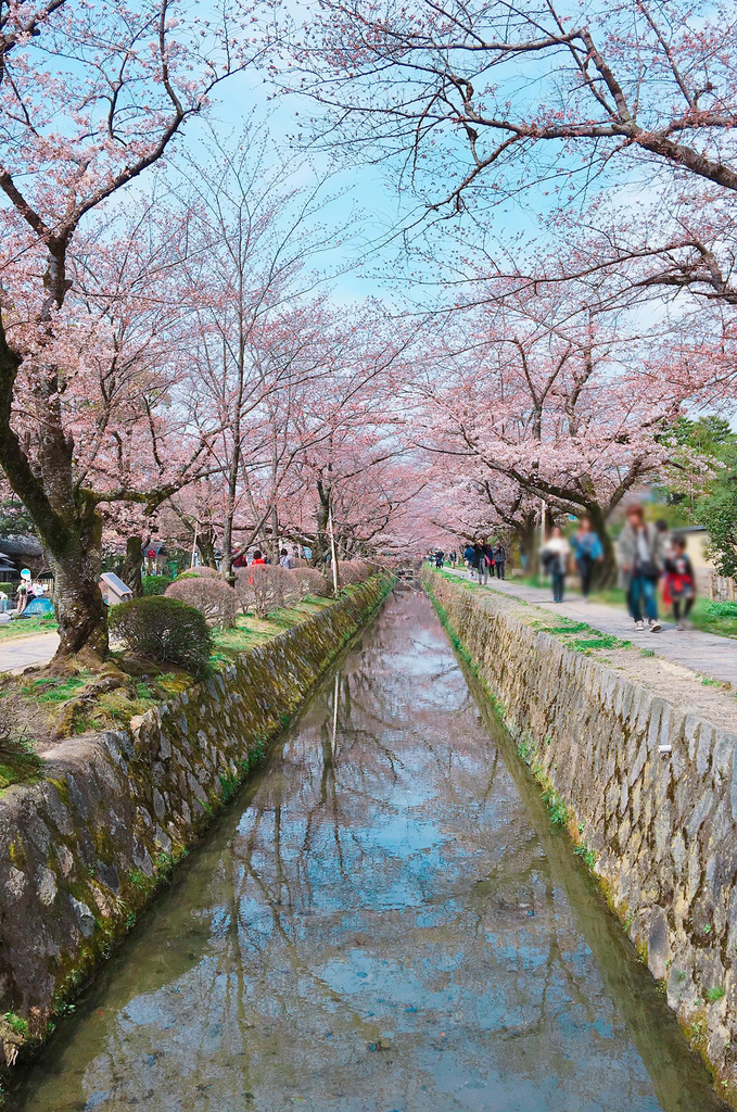 35973357_1778128168938054_4087336692736851968_o_副本 35973357_1778128168938054_4087336692736851968_o_副本